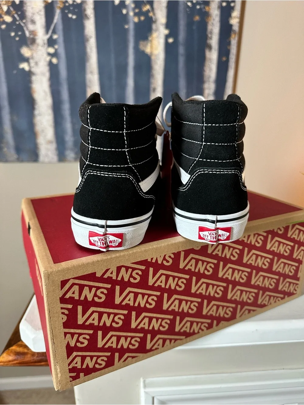 Vans Kids Black and White Sk8-Hi Sneakers